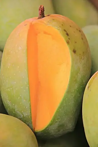 Gir Kesar Mango